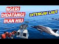 daily vlog Taiwan🇹🇼 NGERI JUGA LIHAT IKAN HIU DI TENGAH LAUT#KAPALWISATA#IKANHIU