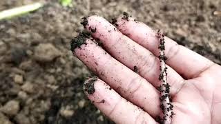 Limbah jadi ladang duit milyuner