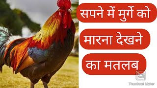 सपने में मुर्गे को मारना देखने का मतलब ||Sapne me murge ko marna dekhne ka matlab||