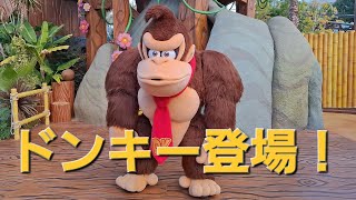 【2024.12.19】ドンキーコング・フォト・オポチュニティ登場シーン【USJ】