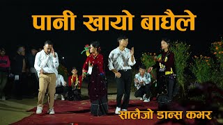 Pani khayo Bhaghaile   Salijo Cover Dance