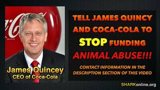 Coca Cola Sponsors Deadly Horse Abuse