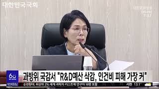 과방위 국정감사서 \