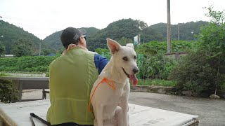 [시골 개의 삶 2화] 우리는 가족입니다 | 리얼시골개다큐