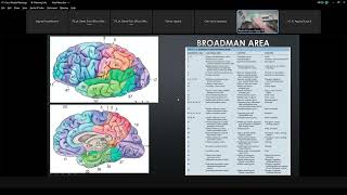 Sunday Lecture - Anatomi Susunan Sistem Saraf Pusat