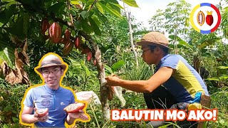 CACAO PRINCE, BALUTIN MO AKO! Watch Cacao Sleeving Tips