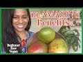 My Raw Vegan Benefits | The Ten AMAZING Benefits I Experienced As A Beginner Eating Raw Foods