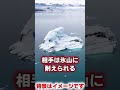 軍艦がクルーズ船に負けました