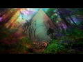 Sergey Shagaev & Dj Dinamik - Forest (Original Mix)