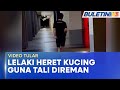 VIDEO TULAR | Lelaki Ikat, Tarik Kucing Ditahan