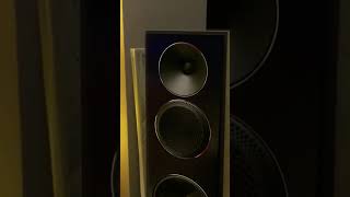 Paradigm FOUNDER 120H on Sound Sommelier YouTube channel! #audiophile #mcintosh #hifi