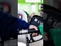 uae announces fuel prices how much will a full tank cost in february 2025 news uae