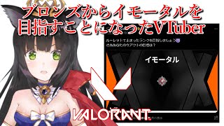 【VALORANT】ブロンズからイモータルを目指すことになったVTuber 13日目【猫神レトロ】