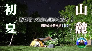 北海道キャンプ！初夏キャンプは美瑛富士山麓の国設白金野営場でTOMOUNTドームテント設営して猫と連泊キャンプ① キャンプ飯は帯広の元祖豚丼！