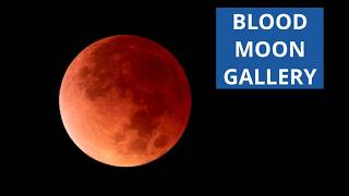 Spectacular Total Lunar Eclipse Images From March 3, 2026