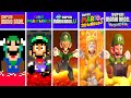 Evolution of Luigi Falling Lava, Game Over Screens Super Mario Games And Fan Mod Games (1985-2024)