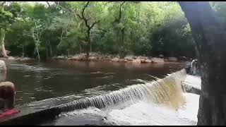 Welcome to the The Great Thalayanai Falls at Kalakad