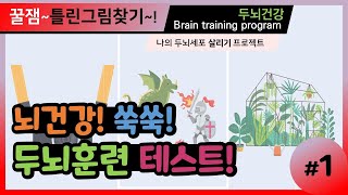 빨리 맞추면 두뇌가 젊어져요~ 무엇이 달라졌을까요?!│꿀잼! 틀린그림찾기~│ # 1│나의 두뇌세포💖 살리GO❗ 지키GO❗ 건강한 두뇌훈련(Brain training)🤩👍 │힐링바다