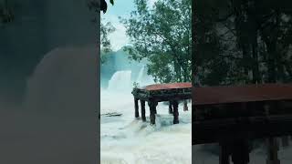 Thripparappu waterfalls on trivandram kerala ❤️