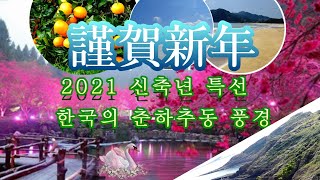 [신년특선]신축년 새해 2020년 한해를 사진으로 기록해본 대한민국의 산하와 풍경들