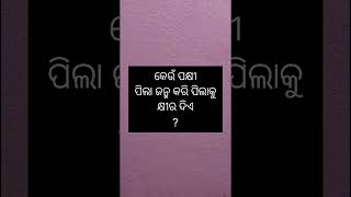 କେଉଁ ପକ୍ଷୀ ପିଲା ଜନ୍ମ କରି ପିଲାକୁ କ୍ଷୀର ଦିଏ ?#gkinodiaknowledge #gkquiz #gk #odiagk #shorts