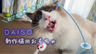 【ダイソー猫用おもちゃ】新しいDAISOのおもちゃおきあがりこぼしを買ってきたよ！猫の反応は？