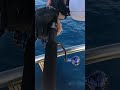 沖縄国頭沖でのジギング巨大魚？ヒットシーン shorts