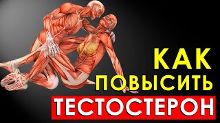 Как Быстро Повысить Уровень Тестостерона в Организме