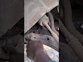 how to inspect suspension parts