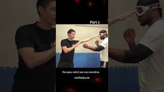 3 Most Dangerous Wing Chun Techniques Part 2 #shorts
