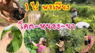 1 ไร่พอเพียง อาหารสดในสวนของเรา สร้างความมั่นคงทางอาหาร #เกษตรผสมผสาน #ศาสตร์พระราชา