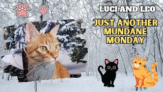 Luci and Leo - Just Another Mundane Monday