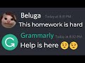 When grammarly helps Beluga with Class test...