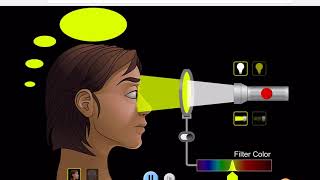 #99 Color My World (pHET Simulation)