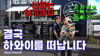 마우이 남쪽까지 하와이 미션 컴플리트, LA행 빡센 미국 국내선 탑승기, #하와이🇺🇸(13)