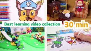 Unboxing Paw Patrol |Best Learning VideoPAW ❤ Rocky, Skye, Marschall day at beach