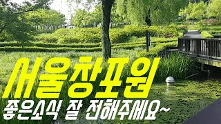 서울창포원 |좋은소식 전하는 붓꽃과 초록풀숲 연녹습지가 만드는 녹색세상  Seoul Iris Garden 서울 끝 도봉산과 북한산 끝자락의 붗꽃정원 |녹색속으로 들어가는 힐링산책