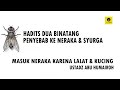 HADITS DUA BINATANG PENYEBAB KE NERAKA & SYURGA - USTADZ ABU HUMAIROH