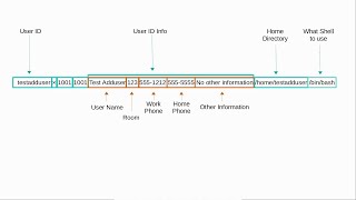 Linux Command Line (14) Adding Users pt1