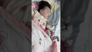 给猫咪陪睡服务打几分呢#萌娃和萌宠 #被猫猫治愈的瞬间 #这小猫谁养谁不迷糊 #养猫的应该都懂吧