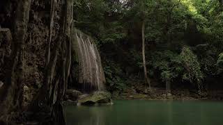 A WATERFALL IN THE JUNGLE