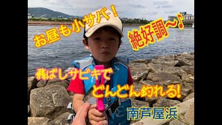 お昼の小サバも絶好調！釣れ過ぎ注意！？　fishingmax芦屋