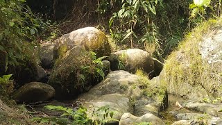 সীতাকুন্ড পাতালকালী মায়ের হর গৌরি মন্দির