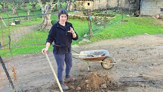 Preparando el gallinero para nuevos inquilinos en pleno invierno