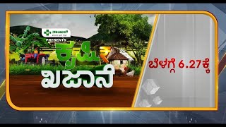 ಕೃಷಿ ಖಜಾನೆ | Nutmeg Farming in Kannada | Vistara Krishi | ಜಾಯಿಕಾಯಿ | Jayikayi | Tumkur