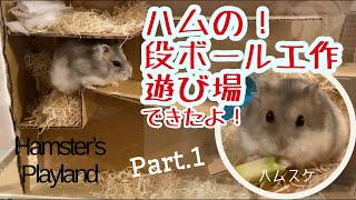 ハムスター　段ボール工作の遊び場できたよ　hamster playland