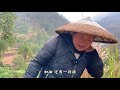 湖南大山又到翻螃蟹季节，冬宝带外甥去山谷搞了半桶，油炸嘎嘣脆