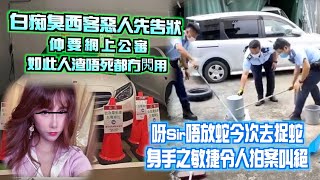 艇佬兵團EP569.    呀Sir唔放蛇今次去捉蛇，身手之敏捷令人拍案叫絕/白痴臭西客惡人先告狀仲要網上公審，如此人渣唔死都冇𨳊用│的士判官九哥