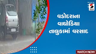 Vadodara Rain | વડોદરાના વાઘોડિયા તાલુકામાં વરસાદ | Heavy Rain | Rain Forecast | Monsoon