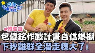 包偉銘作戰計畫自信爆棚？下秒雞群全溜走糗大了？！【#請問今晚住誰家】體驗篇 20210505 EP358 Part1 竇智孔 包偉銘 舞陽 賈斯汀